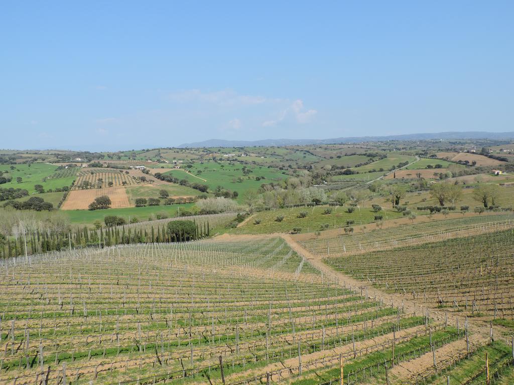 Гостевой дом Poggio Lungo Гроссето Экстерьер фото